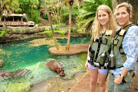 Wild Africa Trek At Disneys Animal Kingdom
