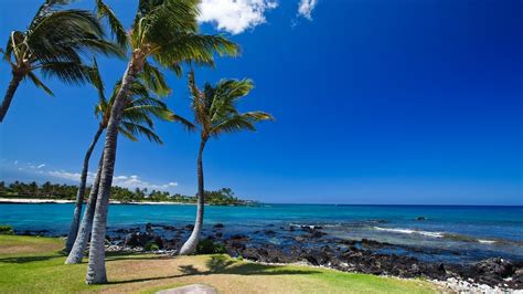Big Island Hawaii Vacation Packages Book Cheap Vacations And Trips To