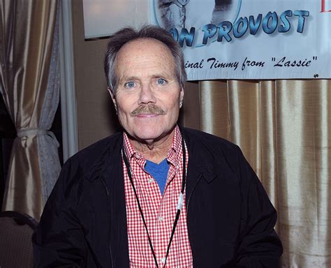 Jon Provost Aka Little Timmy From Lassie Is 70 Years Old Now And Looks Unrecognizable
