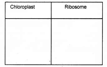 Plus One Botany Chapter Wise Previous Questions Chapter 5 Cell The Unit