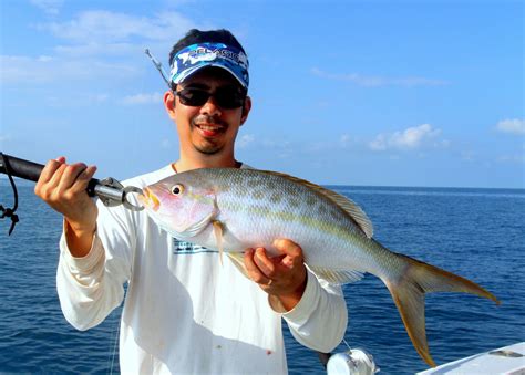 How To Catch Yellowtail Snapper