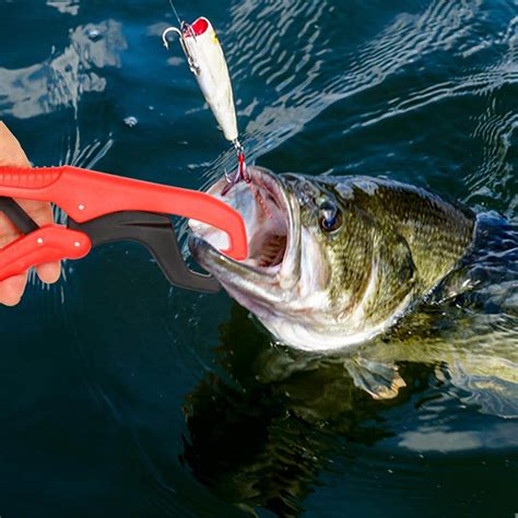 Pick The 5 Best Fish Lip Gripperreviews And Guide Fishing Tool Reviewer