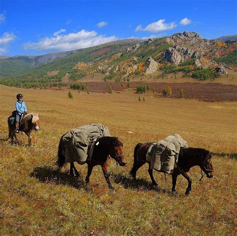 Exploring Gorkhi Terelj National Park On Horseback Horsetrekking With