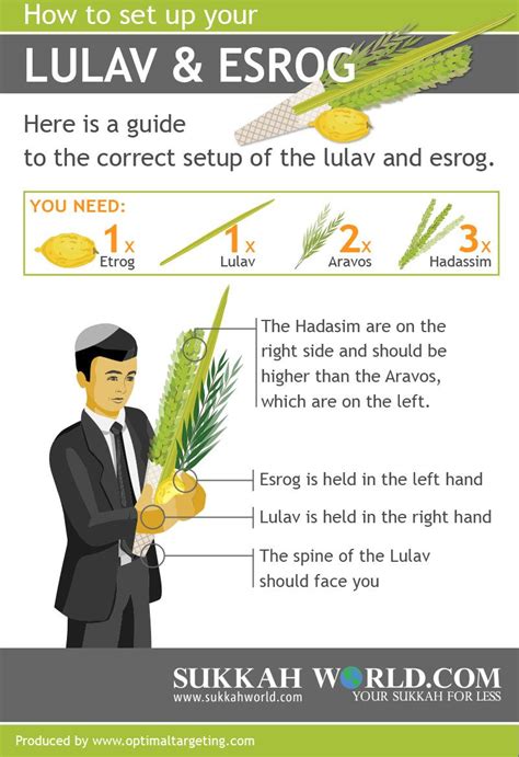 How To Set Up Your Lulav And Esrog Sukkah World Sukkot Sukkot
