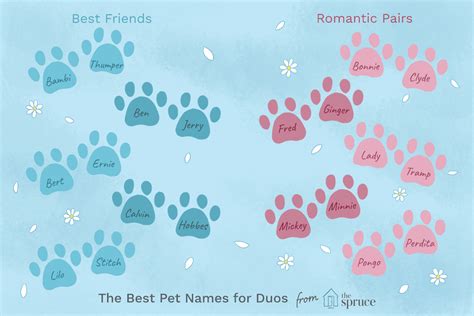 It is important to use a name that conveys the proper image of your cat. Clever Names For Pairs of Pets