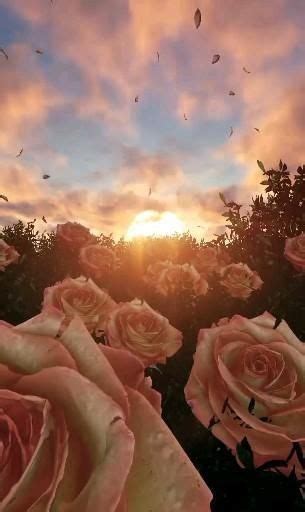 I Love My Wife Karamee💖 Nature Photography Flowers Beautiful Photography Nature Sky