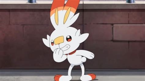 The Best Nature For Scorbunny In Pokemon Sword And Shield