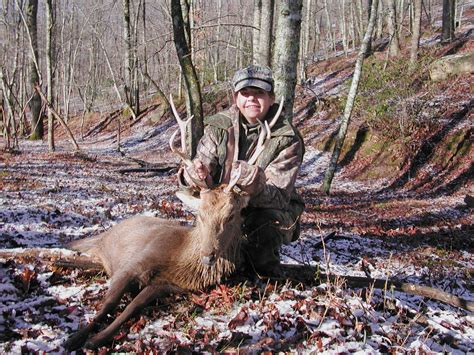 Sika Deer Caryonah Hunting Lodge