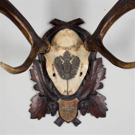 19th Century Habsburg Red Stag Trophy Of Emperor Franz Joseph From