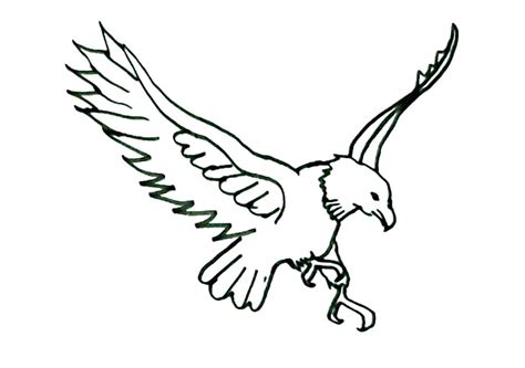 Eagle Flying Drawing Free Download On Clipartmag