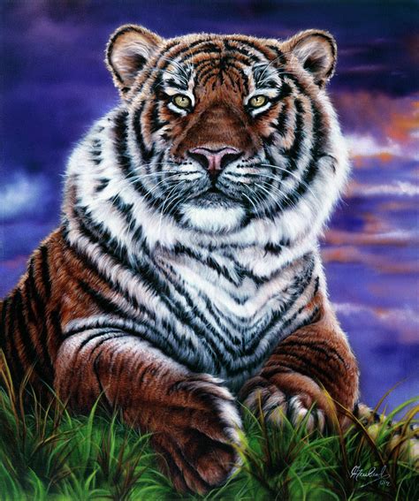 Arizona Tiger Painting By Jenny Newland Fine Art America