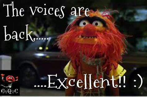 Pin By Timothy Wion On Humor Muppets Funny Haha Funny