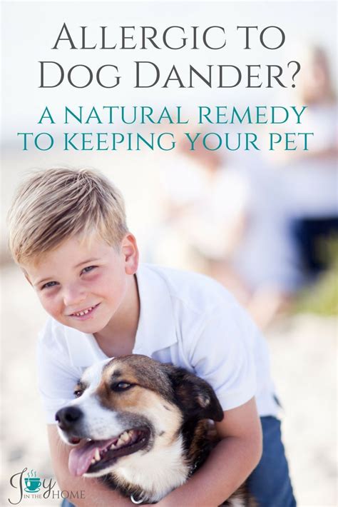 Allergic To Dog Dander A Natural Remedy To Keeping Your Pet The