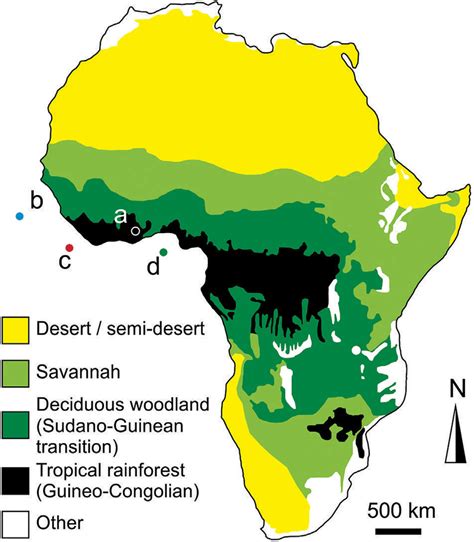 South of the tropic of cancer. Simplified map of the distribution of modern vegetation biomes across... | Download Scientific ...