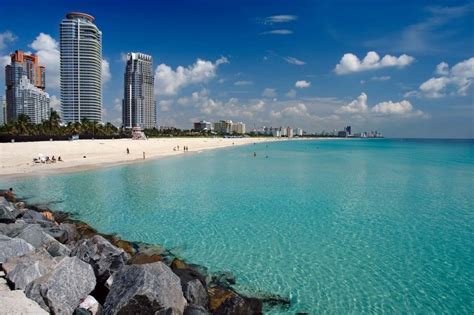 ¿sabes Qué Hacer En Un Viaje A Miami De Turismo