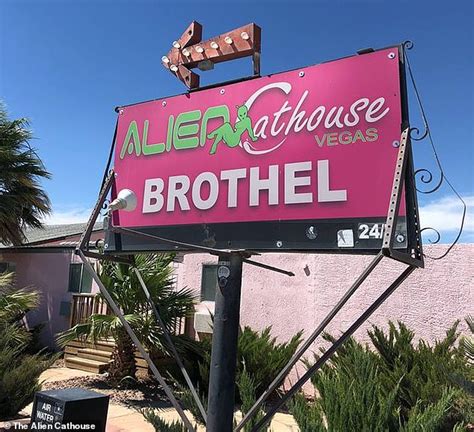 Nevada Brothel Alien Cathouse Is Offering Ai Sex Robots For Global Free Download Nude Photo