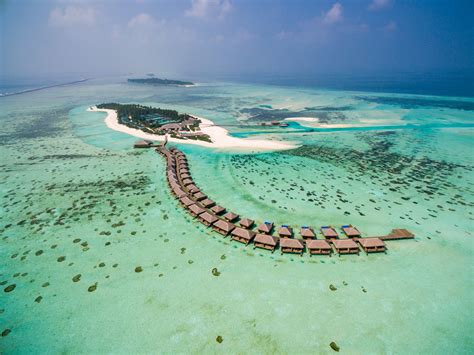 Cocoon Maldives wins Leading Beach Resort award - Tourism News Live