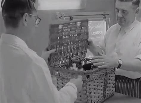 At petmobile pet hospital, we strive to provide exceptional customer service, friendly and approachable staff, and. Mobile Pet Clinic (1957) - Cinema Cats