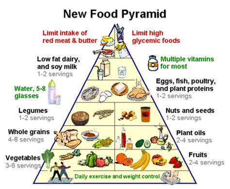 Technical revisions to the food guide pyramid HUMAN BIOLOGY AND HEALTH: BALANCED DIET