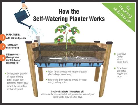 We grew three tomato plants in that bed. Amazon.com: CedarCraft SELF-WATERING ELEVATED PLANTER 19 ...