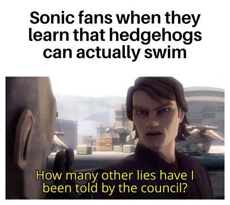 How Many Other Lies Have I Been Told By The Council Memes