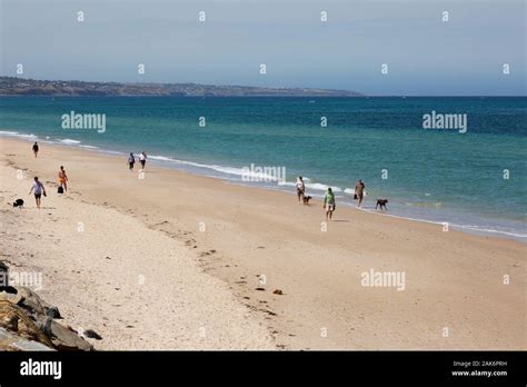 Adelaide Beach People On Glenelg Beach Adelaide Australia On A Sunny