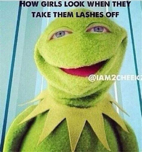 Kermit The Frog Birthday Meme 63 Best Comedy Kermit Memes Images On Pinterest Birthdaybuzz