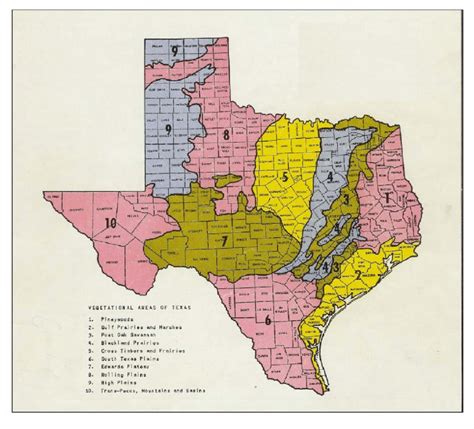 Ecoregions Of Texas Gould 1962 Download Scientific Diagram