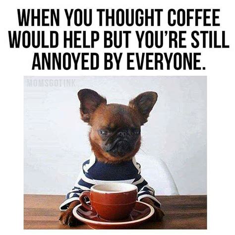 Hahaha Coffee Meme Coffee Humor Coffee Quotes