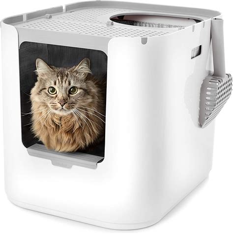Best Dog Proof Litter Box 2022 How To Keep Dogs Out Of Cat Litter Boxes