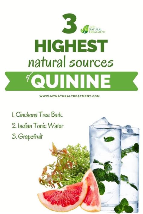 3 Highest Natural Sources Of Quinine Natural Quinine Foods