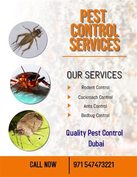 Green dots services is one of the best pest control services approved by dubai municipality. Best Pest Control Company in Dubai-QPC in 2020 | Pest ...