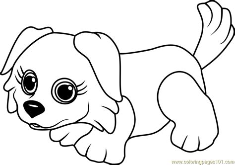 Border Collie Coloring Page for Kids - Free Pet Parade Printable