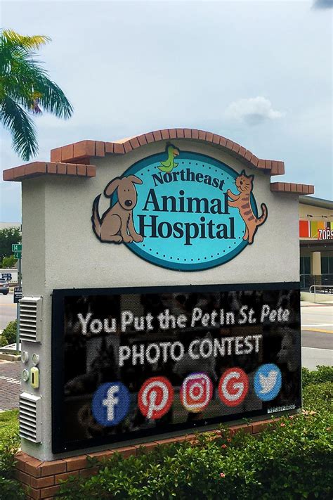 Vca noah's place animal medical center was established in 1997 and is one of the most popular animal hospital & kennel in the st. Downtown St. Pete Vet Clinic | Pet photo contest, Vet ...