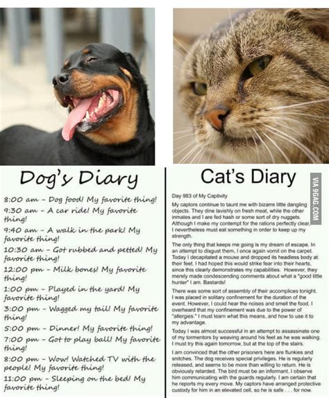 Dog's diary vs cat's diary. Cat and Dog diary...so true! - 9GAG