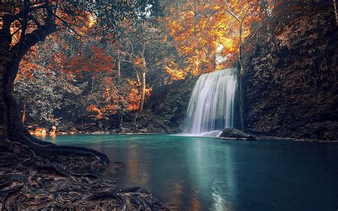 Nature Waterfall Trees Landscape Roots Fall Tropical Colorful