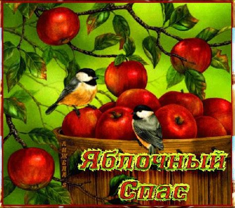 За матвієм, марком та лукою (мт. Привітання у віршах на яблучний спас - Преображення ...