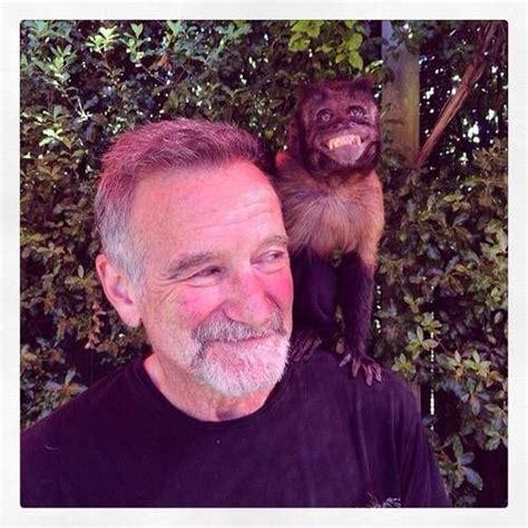 The Last Known Photos Of 52 Famous People Robin Williams Robin