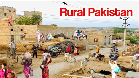 Village Life Pakistan Daily Work Routine Rural Pakistan Village