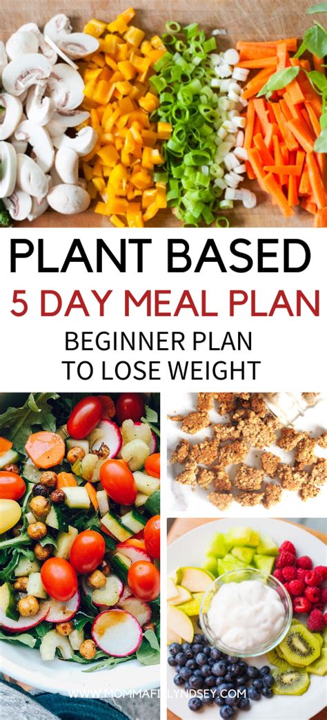 Plant Based Diet On A Budget For Beginners Momma Fit Lyndsey Plant