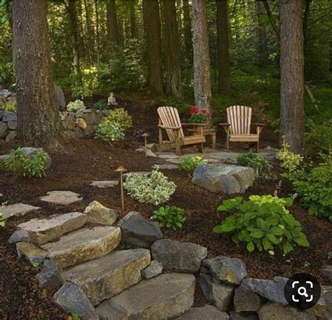 Spot To Create In The Woods Backyard Landscaping Wooded Backyard