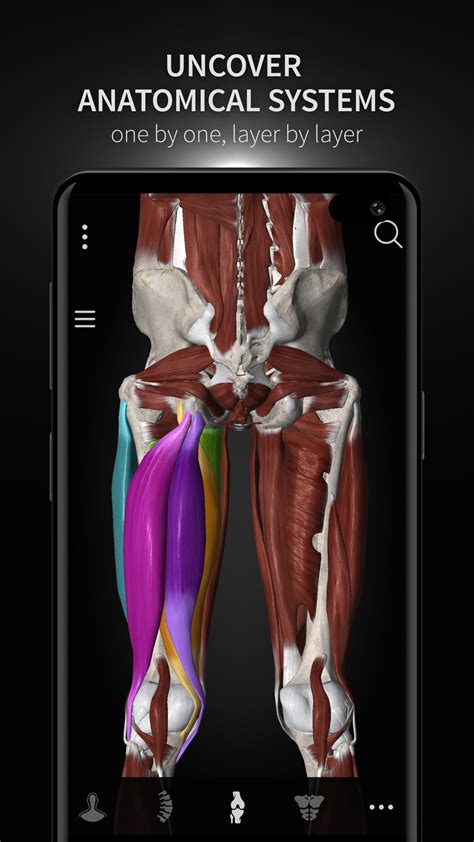 Anatomyka 3d Anatomy Atlas For Android Apk Download