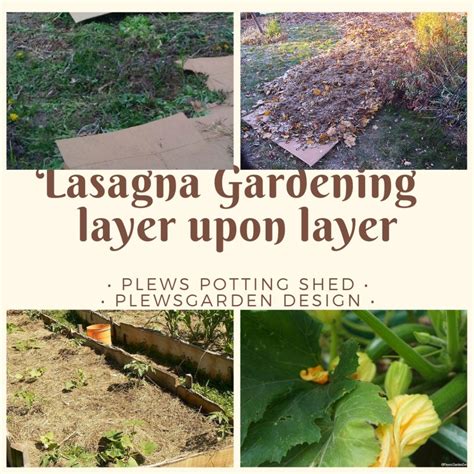 Lasagna Gardening Growing Methods For Gardeners Gardening Lessons