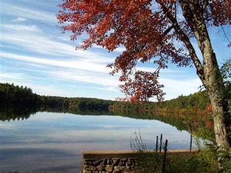 Experience the connection with nature that inspired henry david thoreau's walden. Walden Pond State Reservation, 915 Walden St, 28 Maplewood ...