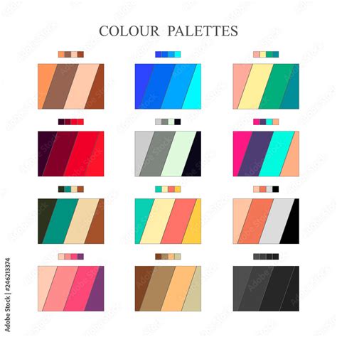 Color Palette Color Schemes Warm Colors Cool Colors Spectrum Flat Design Vector