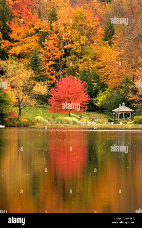 Reflections In The Lake Of Trees Changing Colors In The Fall Stock