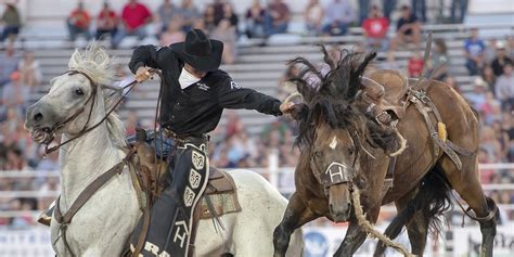 Top 10 Rodeos In The Usa Best Rodeos In America