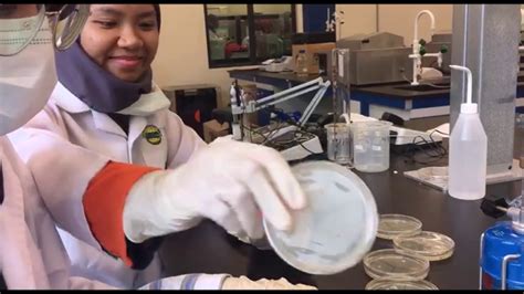 Group 6 Lab 5 Thermal Destruction Of Food Microorganism Youtube