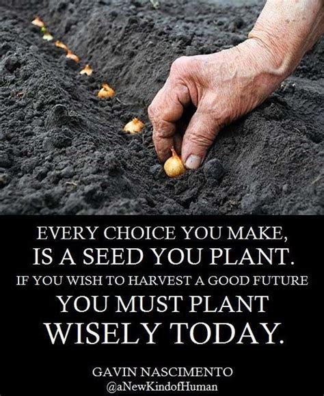 Every Choice You Make Is A Seed You Plant If You Wish To Harvest A