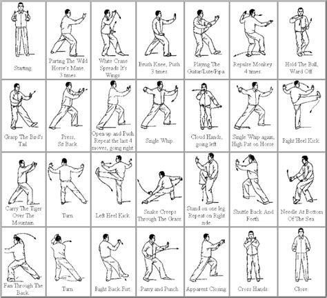 A Beginners Guide To The Tai Chi Short Form Styles Moves And How To